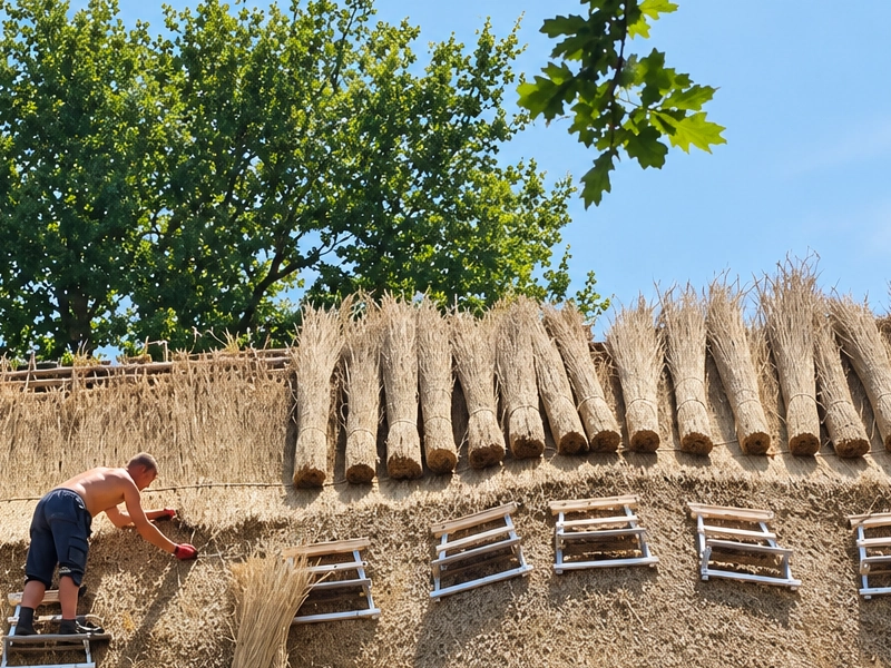 Rénovation toiture chaume